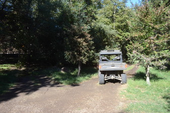 Enlarge photo 142