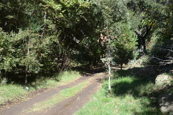 Enlarge photo 144