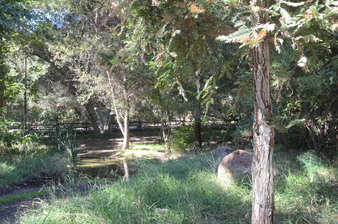 Enlarge photo 145