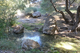 Enlarge photo 151