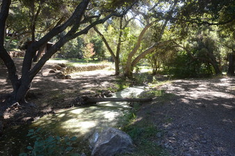 Enlarge photo 152