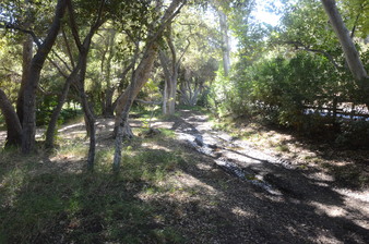 Enlarge photo 155