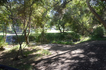 Enlarge photo 158