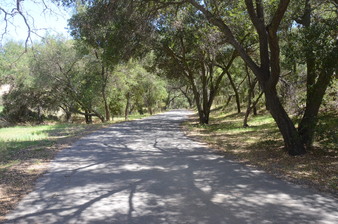 Enlarge photo 9