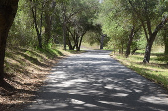 Enlarge photo 14