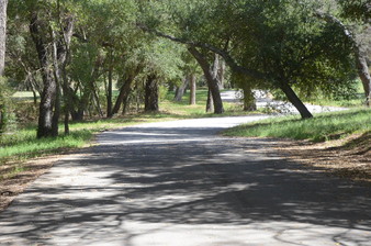 Enlarge photo 16