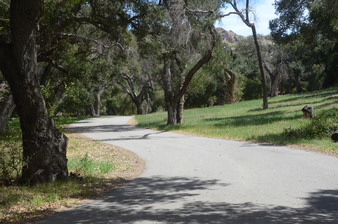 Enlarge photo 27