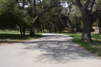 Enlarge photo 29