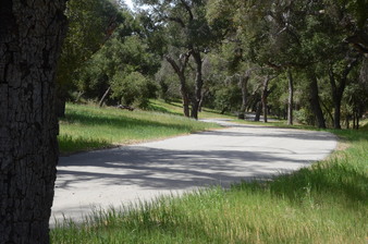 Enlarge photo 33