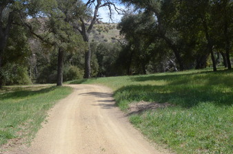 Enlarge photo 36