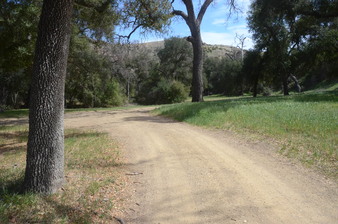Enlarge photo 39