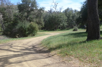 Enlarge photo 40