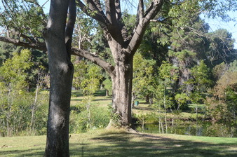 Enlarge photo 14