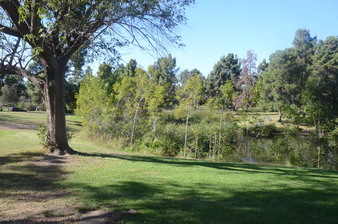 Enlarge photo 16
