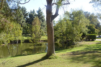 Enlarge photo 24