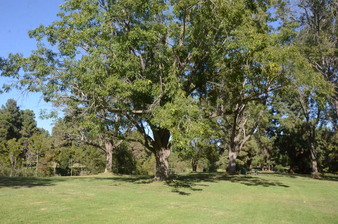 Enlarge photo 25
