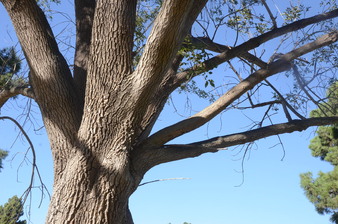 Enlarge photo 26