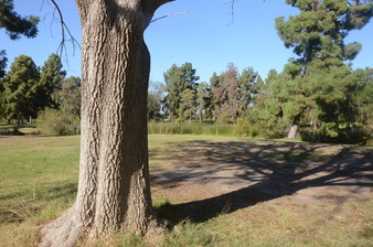 Enlarge photo 27