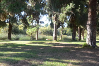 Enlarge photo 29