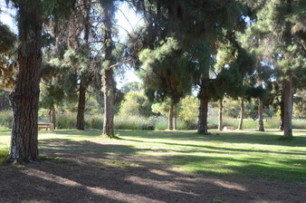 Enlarge photo 31