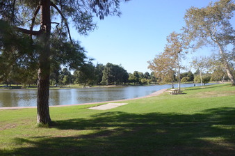 Enlarge photo 32
