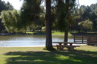 Enlarge photo 35
