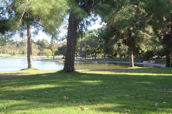 Enlarge photo 37