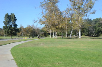 Enlarge photo 43