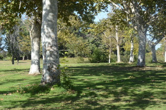 Enlarge photo 46