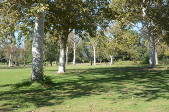 Enlarge photo 47