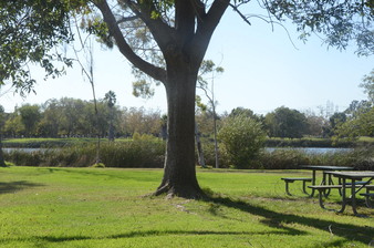 Enlarge photo 50