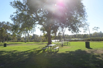 Enlarge photo 51