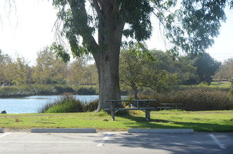 Enlarge photo 53