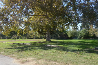 Enlarge photo 55