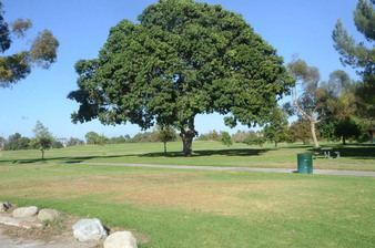 Enlarge photo 66