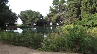 Enlarge photo 60
