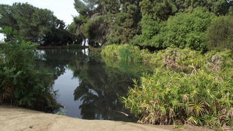 Enlarge photo 61