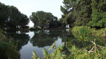 Enlarge photo 62