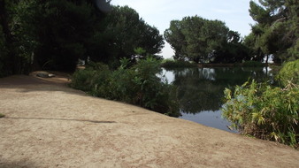 Enlarge photo 63
