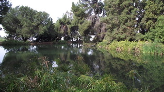 Enlarge photo 64