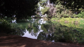 Enlarge photo 65