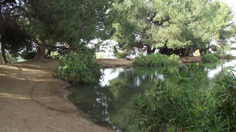 Enlarge photo 66