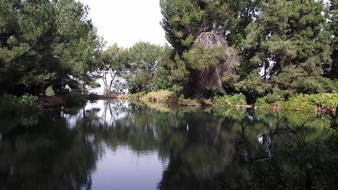 Enlarge photo 67
