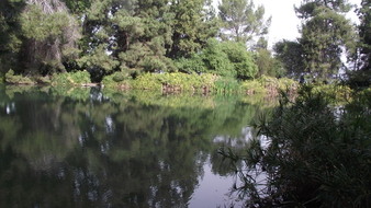 Enlarge photo 68