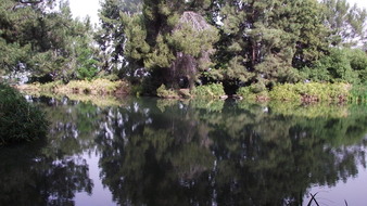 Enlarge photo 69