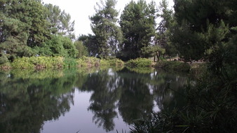 Enlarge photo 70