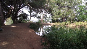 Enlarge photo 72