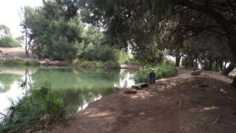 Enlarge photo 73