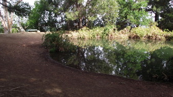 Enlarge photo 74