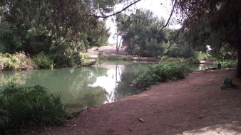 Enlarge photo 75